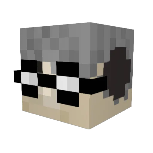 Diegin14 Minecraft avatar head, 3D render