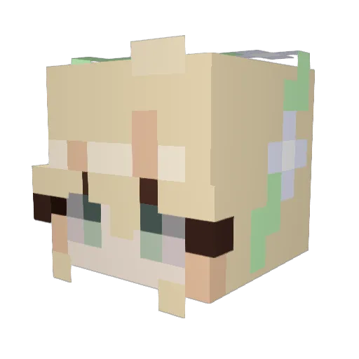 Diegmaster2019 Minecraft avatar head, 3D render