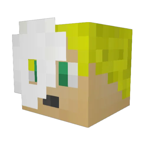 Diego02 Minecraft avatar head, 3D render