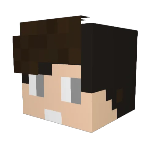 Diego1605 Minecraft avatar head, 3D render