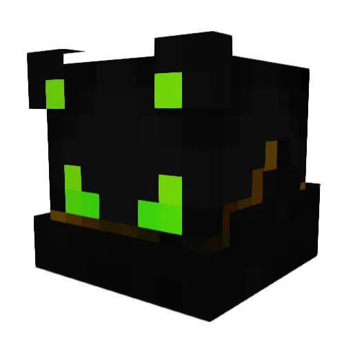 Diego4 Minecraft avatar head, 3D render