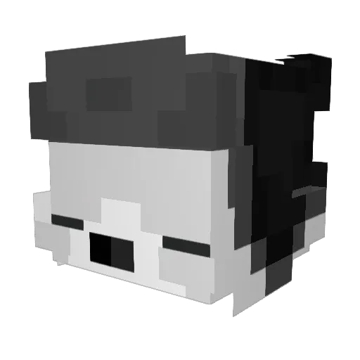 Diego9G Minecraft avatar head, 3D render