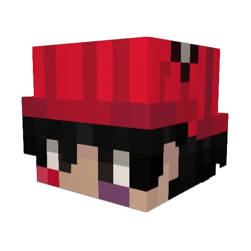 DiegoCrafter_ Minecraft avatar head, 3D render