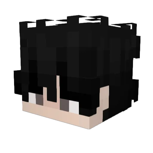 DiegoDPL Minecraft avatar head, 3D render