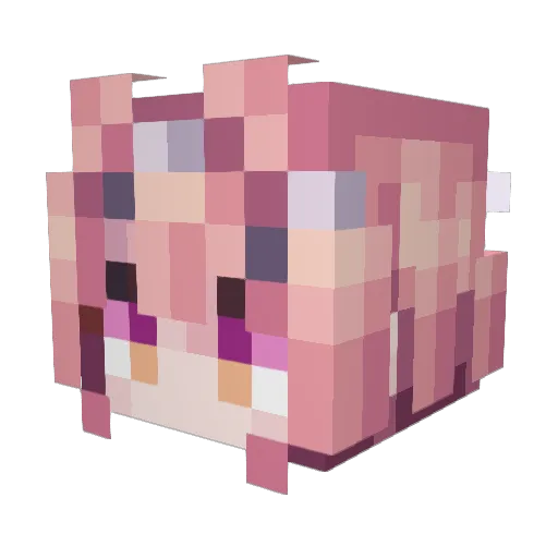 DiegoDreemurr Minecraft avatar head, 3D render
