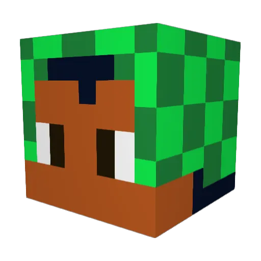 DiegoEsrt Minecraft avatar head, 3D render
