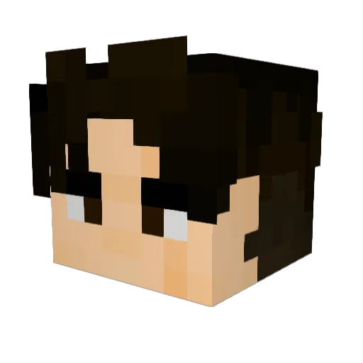 DiegoFlip Minecraft avatar head, 3D render