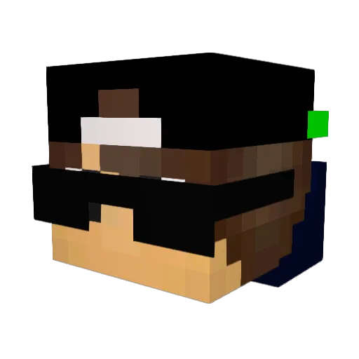 DiegoMega15 Minecraft avatar head, 3D render