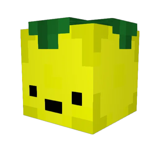 DiegoRG06 Minecraft avatar head, 3D render