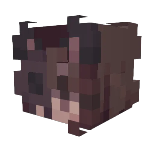 DiegoTheCat55 Minecraft avatar head, 3D render