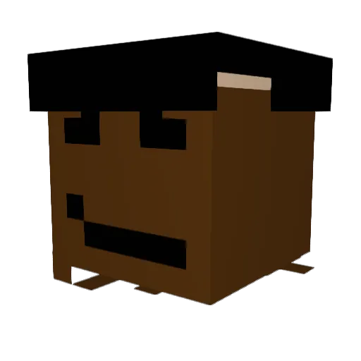 Diegobr3 Minecraft avatar head, 3D render