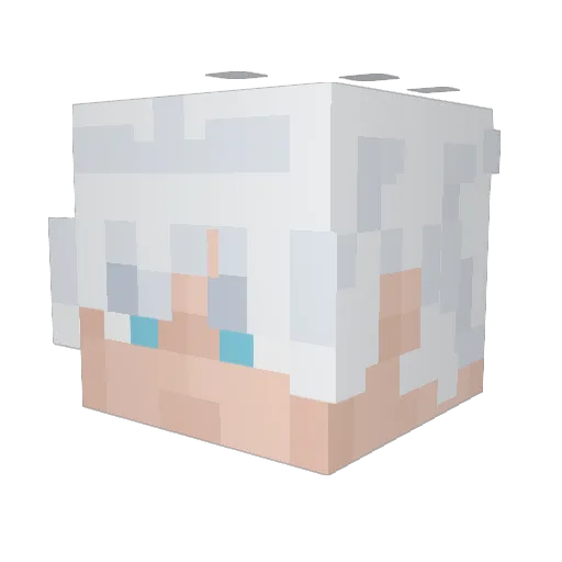 Diegoco77 Minecraft avatar head, 3D render