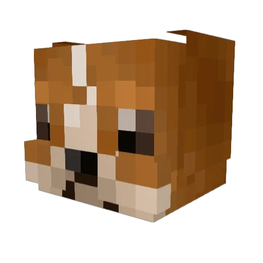 Dieguchi00 Minecraft avatar head, 3D render