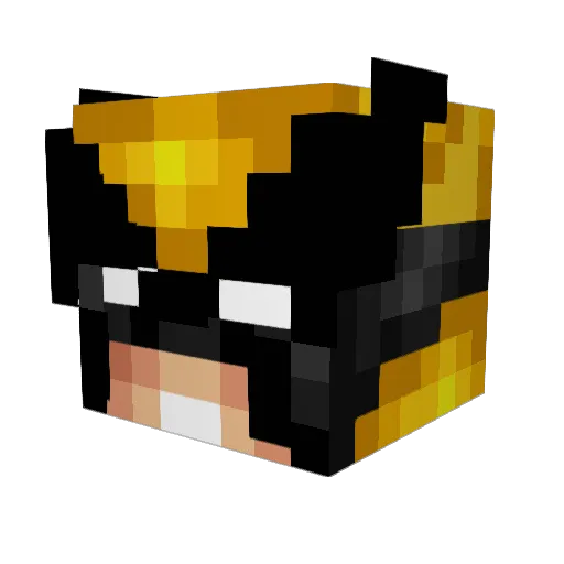 Dieguinho99 Minecraft avatar head, 3D render