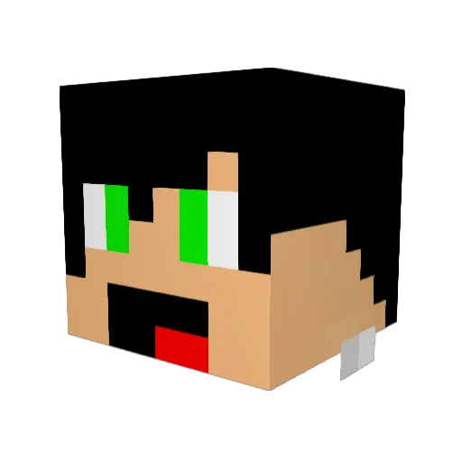 Dieguink Minecraft avatar head, 3D render