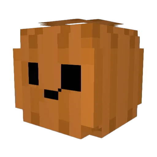 DiekDog99 Minecraft avatar head, 3D render