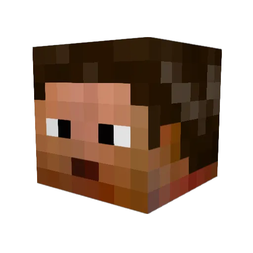Dierter_ Minecraft avatar head, 3D render
