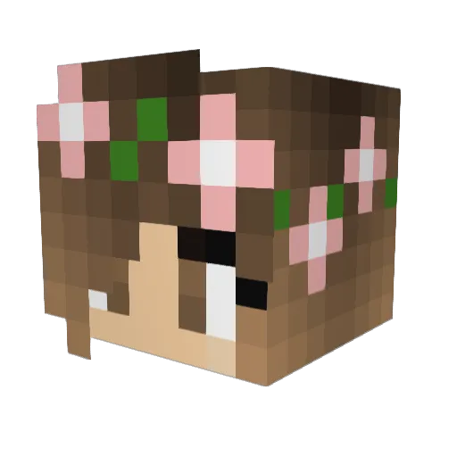 Diesel_brooke Minecraft avatar head, 3D render
