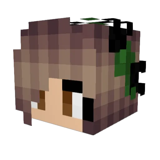 Dieske466 Minecraft avatar head, 3D render