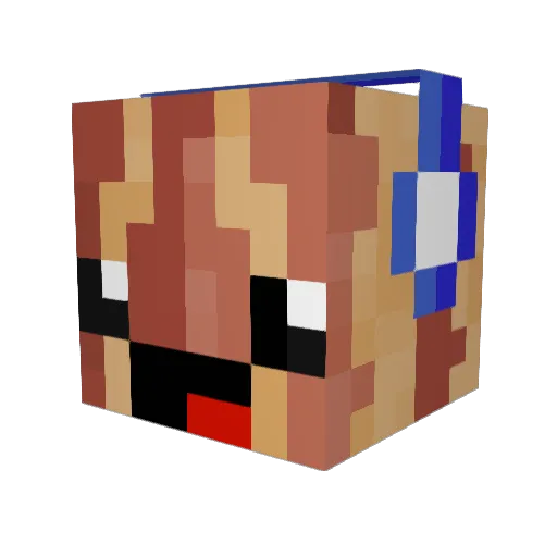 DietBacon Minecraft avatar head, 3D render