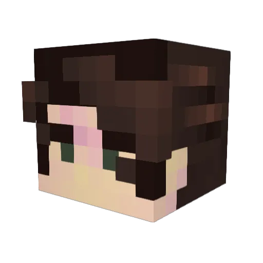 DietDingo Minecraft avatar head, 3D render