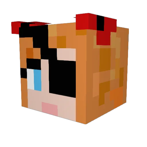 DietPepe Minecraft avatar head, 3D render