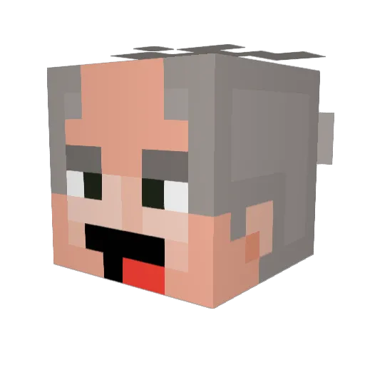 DieterDown Minecraft avatar head, 3D render