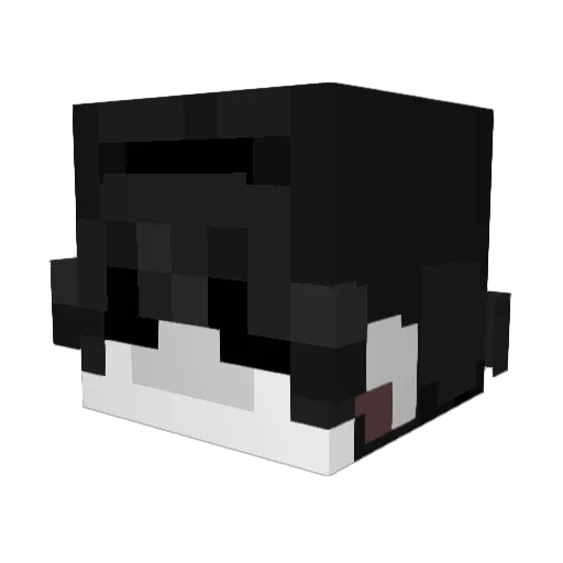 Diexmer Minecraft avatar head, 3D render