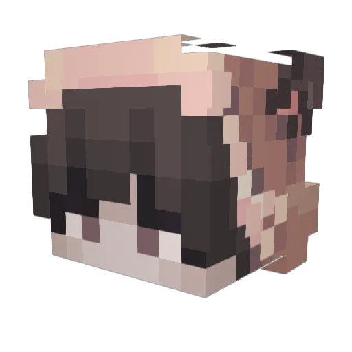 Dife Minecraft avatar head, 3D render