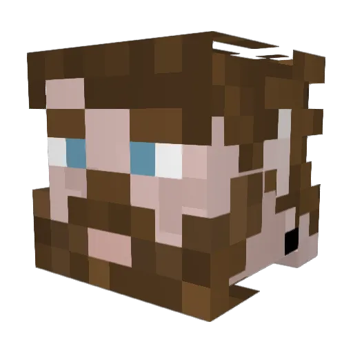 Difidus Minecraft avatar head, 3D render