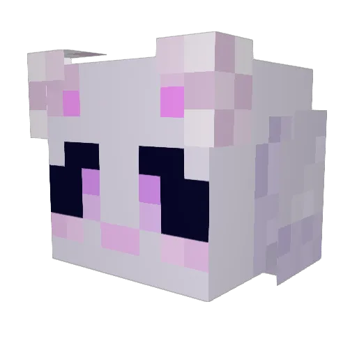 Difuz_fr Minecraft avatar head, 3D render