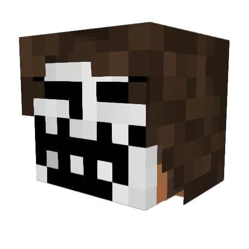 Digestingvirus Minecraft avatar head, 3D render