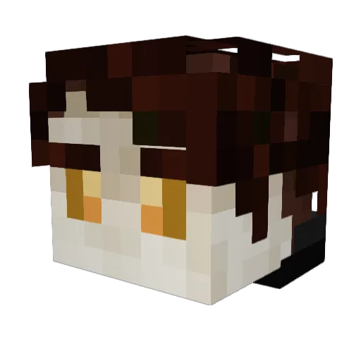 Digger2007 Minecraft avatar head, 3D render