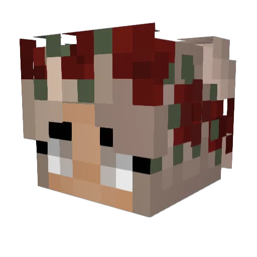 Digger42 Minecraft avatar head, 3D render