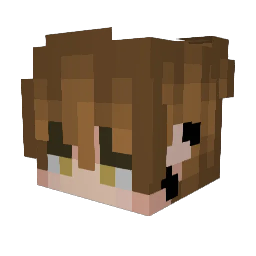 DiggerBigCat Minecraft avatar head, 3D render