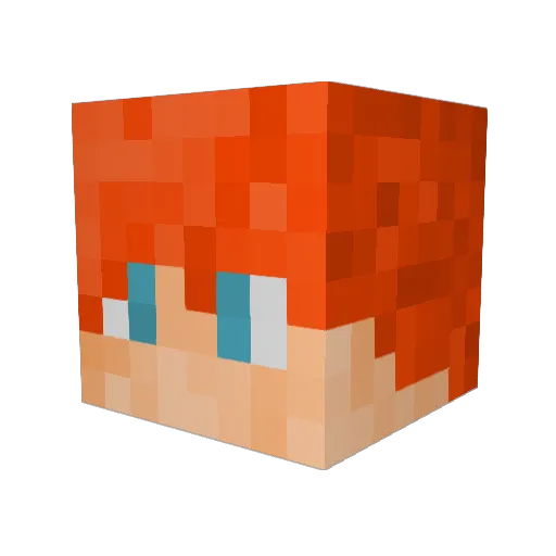 Diggerdog13 Minecraft avatar head, 3D render