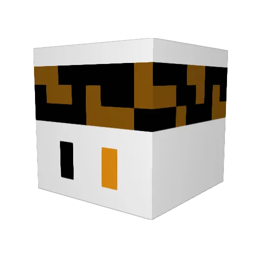 DiggingKnot1221 Minecraft avatar head, 3D render