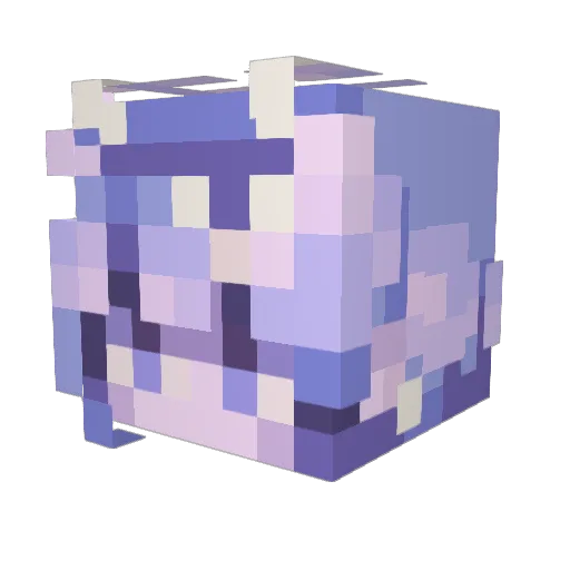 DiggityDashm Minecraft avatar head, 3D render