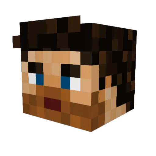 Diggras Minecraft avatar head, 3D render