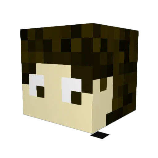 DiggyHippy Minecraft avatar head, 3D render