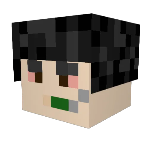 DiggyHitmansHole Minecraft avatar head, 3D render