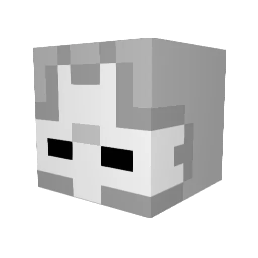 DiggyPlatypus Minecraft avatar head, 3D render