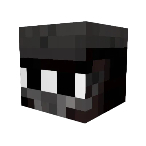 Diggy_Wiggy Minecraft avatar head, 3D render