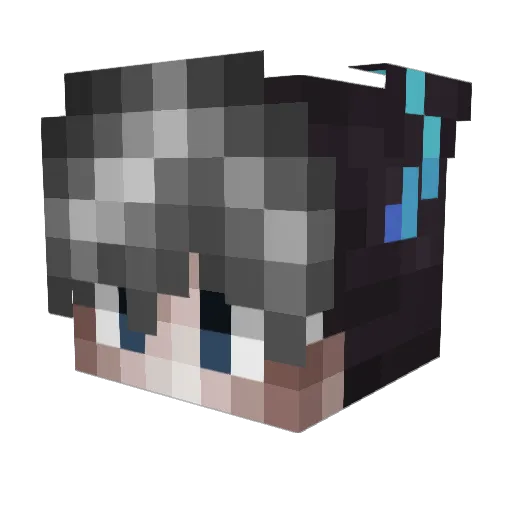 DigiJester Minecraft avatar head, 3D render