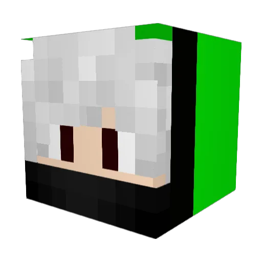 DigiWolfram Minecraft avatar head, 3D render