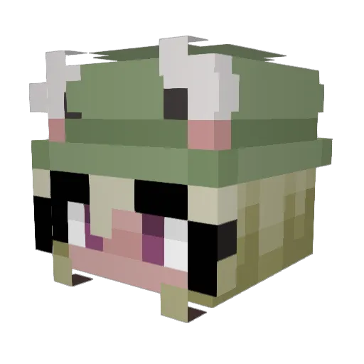 Digibear62 Minecraft avatar head, 3D render