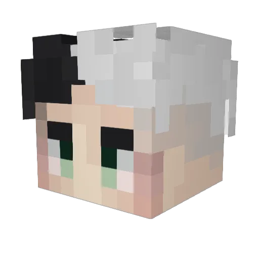 Digidro Minecraft avatar head, 3D render