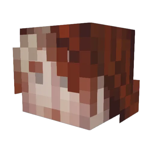 Digit005 Minecraft avatar head, 3D render