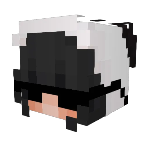 DigitalAire Minecraft avatar head, 3D render