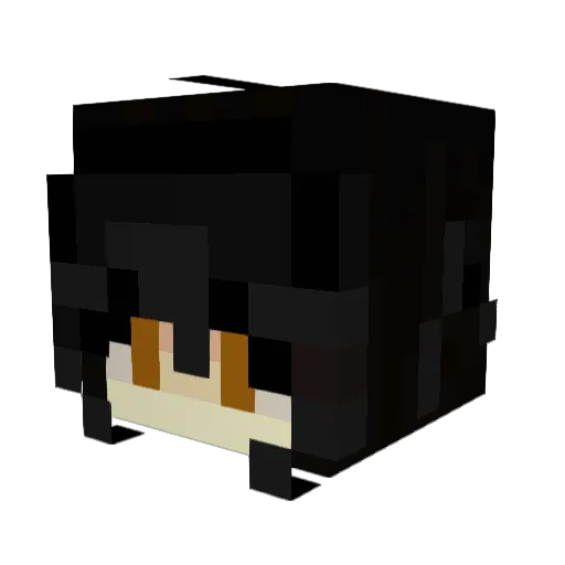 Minecraft-Avatar von DigitalDust3012: Kopf als 3D-Render